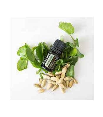 Cardamom-Essential-Oil-product Cardamom-Essential-Oil-product
