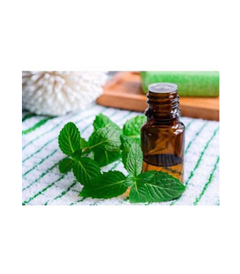 Cardamom-Peppermint-Essential-Oil-product Cardamom-Peppermint-Essential-Oil-product