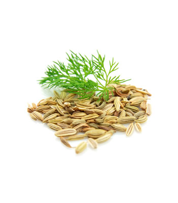 Fennel-Essential-Oil-product Fennel-Essential-Oil-product