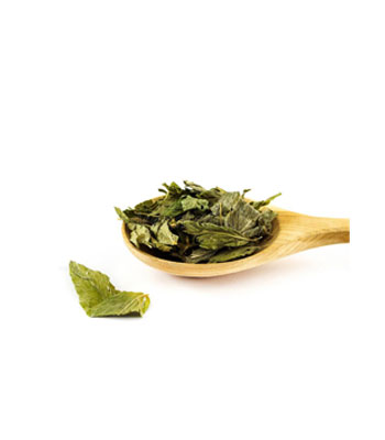 Galega-Dry-Extract-product Galega-Dry-Extract-product