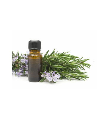 Rosemary-Essential-Oil-product Rosemary-Essential-Oil-product