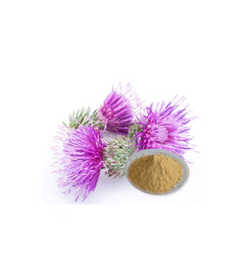 Silymarin-Dry-Extract-product Silymarin-Dry-Extract-product