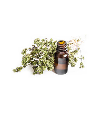 Thyme-Essential-Oill-product Thyme-Essential-Oill-product