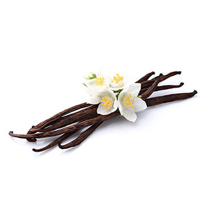 Vanilla-Essences Vanilla Essences