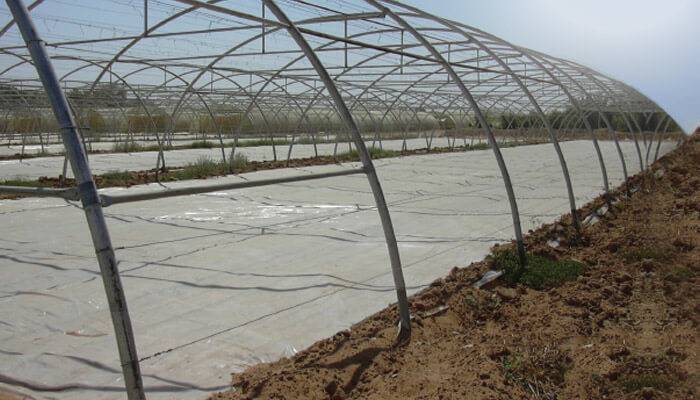 Nylon soil disinfectant Nylon soil disinfectant