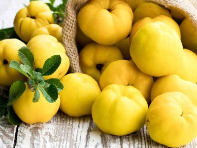 Quince-Concentrate-product Quince-Concentrate-product