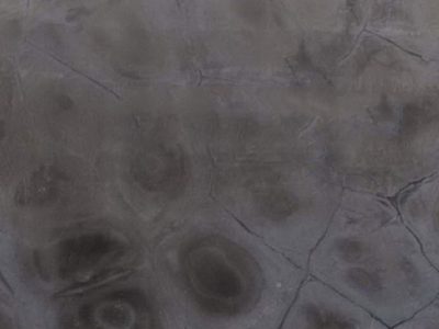 TURTLE-Granite-Stone-product TURTLE-Granite-Stone-product