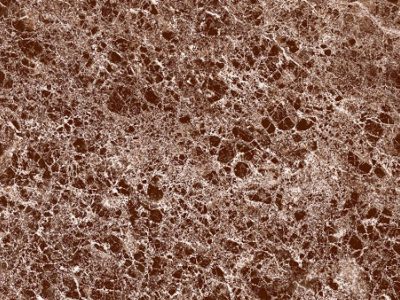 Tile-Model-Kent-Brown Tile-Model-Kent-Brown