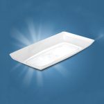 Disposable-platter-Product Disposable-platter-Product