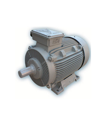 Three-Phase Electro Motors With Cast-Iron Frame